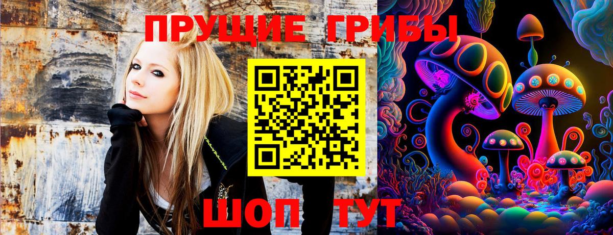 Псилоцибиновые грибы Cubensis Ревда